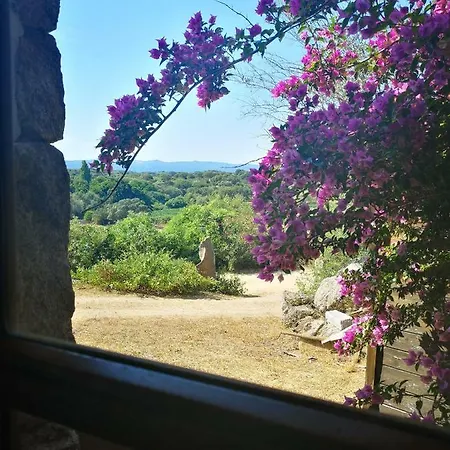 La Casa Ecchjia. La Casa Vecchia. *
