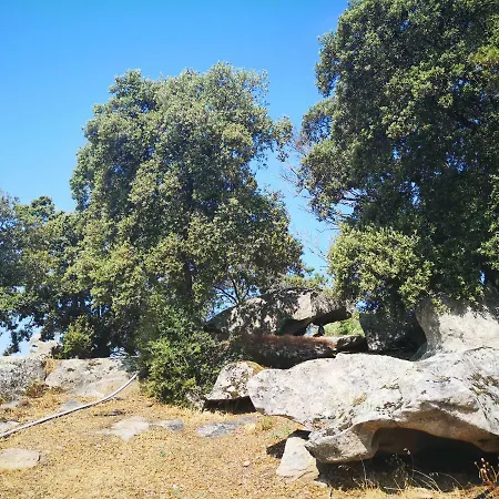 La Casa Ecchjia. La Casa Vecchia. דירה