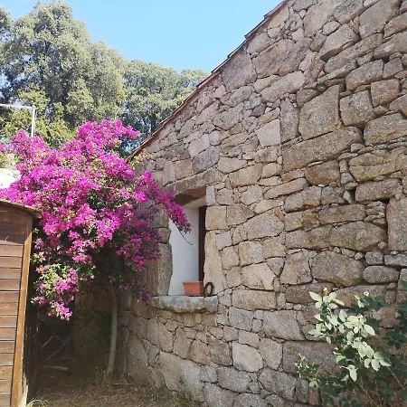 דירה La Casa Ecchjia. La Casa Vecchia.
